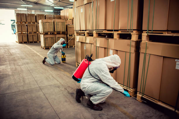 Best Residential Pest Control  in South Amherst, OH