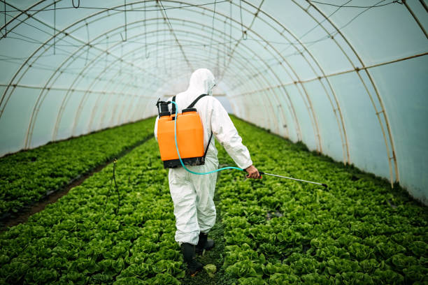 Best Residential Pest Control  in South Amherst, OH