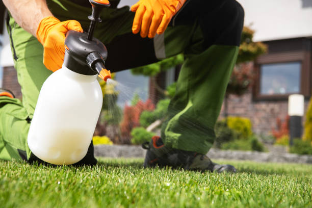 Best Pest Control Near Me  in South Amherst, OH