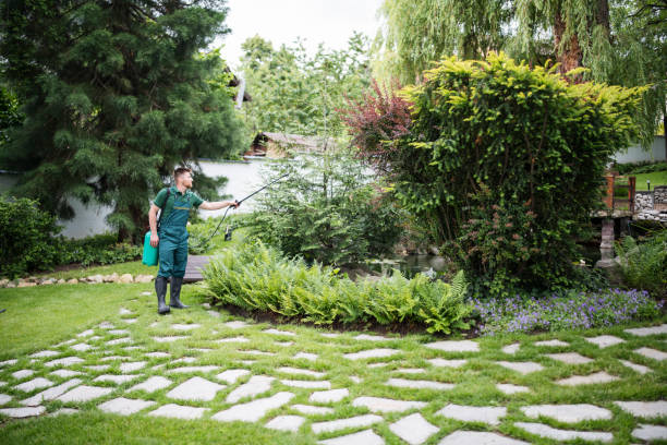 Best Affordable Pest Control Services  in South Amherst, OH