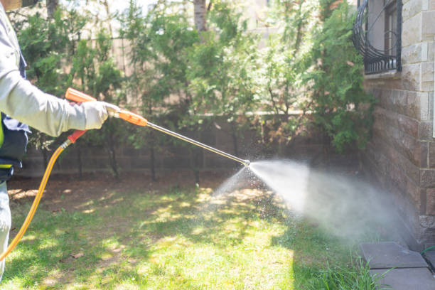 Best Flea Control Services  in South Amherst, OH