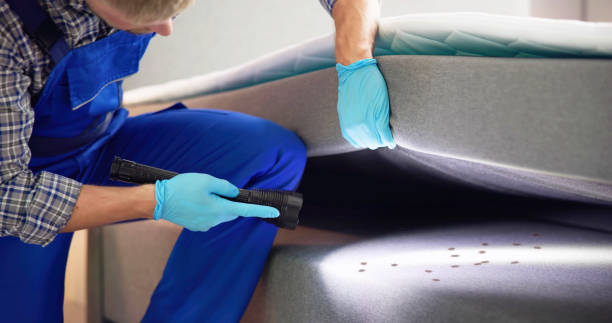 Best Best Pest Control Companies  in South Amherst, OH