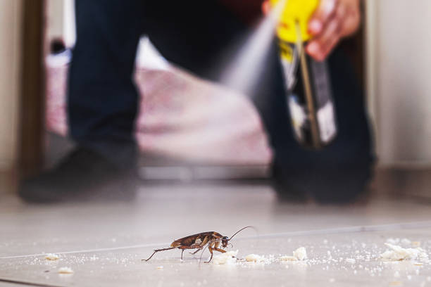 South Amherst, OH Pest Control Company